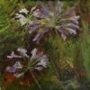 "Agapanthus"