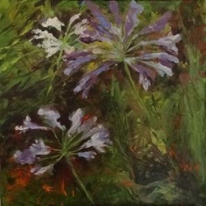 "Agapanthus"