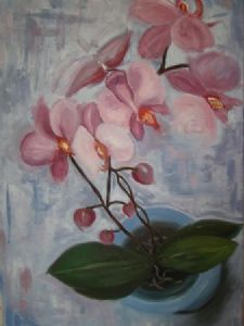 "Pink Orchids"