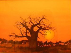 "Baobab"