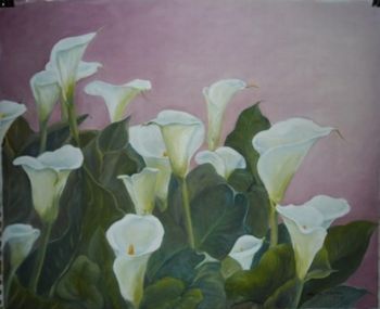 "Arums in the Pink"