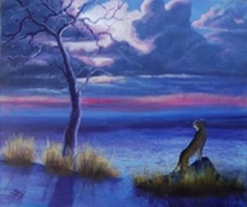 "The Leopard and the Storm by Nix"