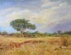 "Lazy Lowveld Afternoon"
