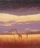 "Bushveld with Giraffes"