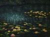 "Serene Lily Pond"