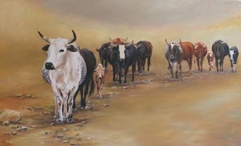 "Nguni Herd Coming Home"