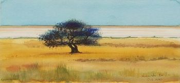 "Etosha Pans"