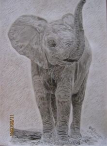 "Little Elephant"