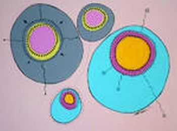 "Dream Bubbles"