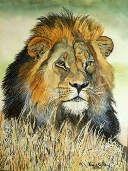 "Majestic Royalty of the Bushveld"