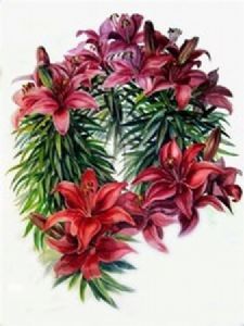 "Red Asian Lilies"