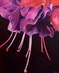 "Fuchsias"