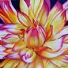 "Dahlia"