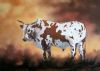 "Nguni Bull 2"