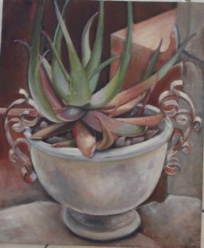 "Potted Aloe"