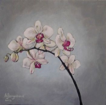 "Orchid"