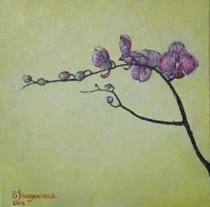 "Orchid Fuchsia 1"