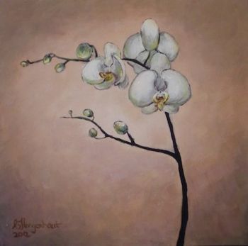 "Orchid - White"