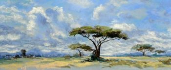 "Acacia Sky Pastel"