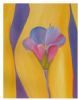 "Harebell"