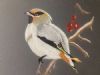 "Waxwing Bird"