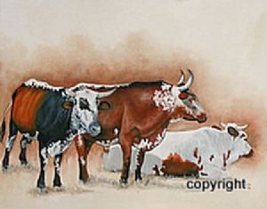 "Ngunis #26 236/12"