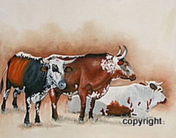 "Ngunis #26 236/12"