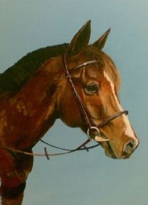 "Pony Portrait"