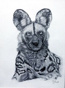 "Painted Wolf"