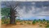 "Baobab Awaiting Rain"