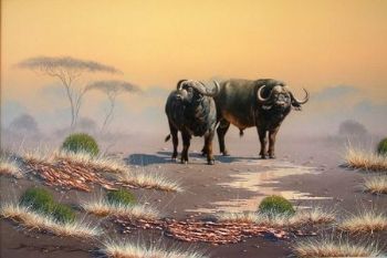"Buffalo 01"
