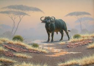 "Buffalo 02"