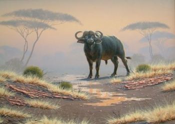 "Buffalo 02"