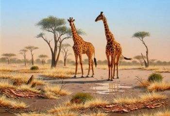 "Giraffe 01"