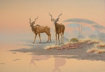 "Kudu 01"