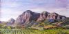 "Mountains near Stellenbosch"