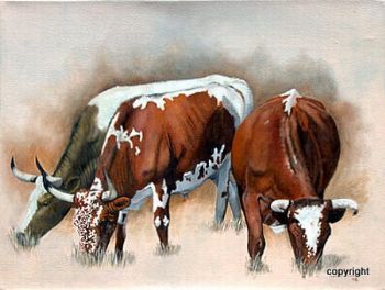 "Nguni #25"