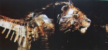 "Anatomy of Power Limited Edition Print on Canvas"