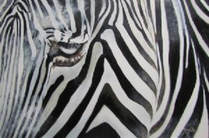"Zebra"