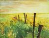 "Fence in the Field"