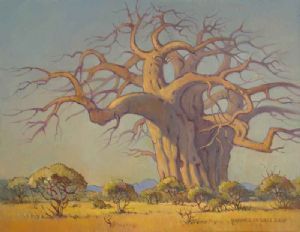 "Baobab - The Giant of the Bushveld"