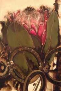 "Protea"