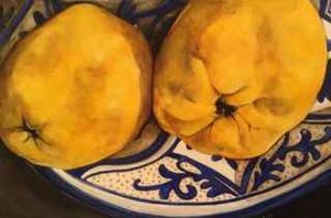 "Quinces"