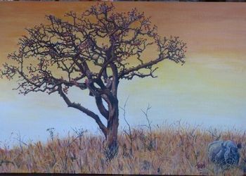 "Disappearing Rhino"