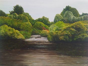 "Bontebok Park and Breede River 2"