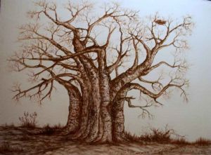 "Baobab Tree Monochrome"