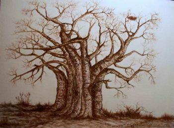 "Baobab Tree Monochrome"