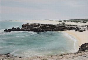 "Shelley Beach"