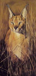 "Caracal"