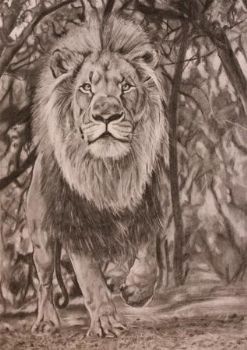 "King Judah"